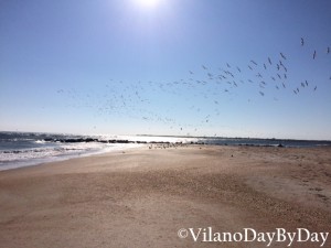 Vilano Beach -1- VilanoDayByDay