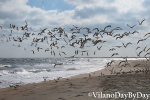 Vilano Beach - VilanoDayByDay