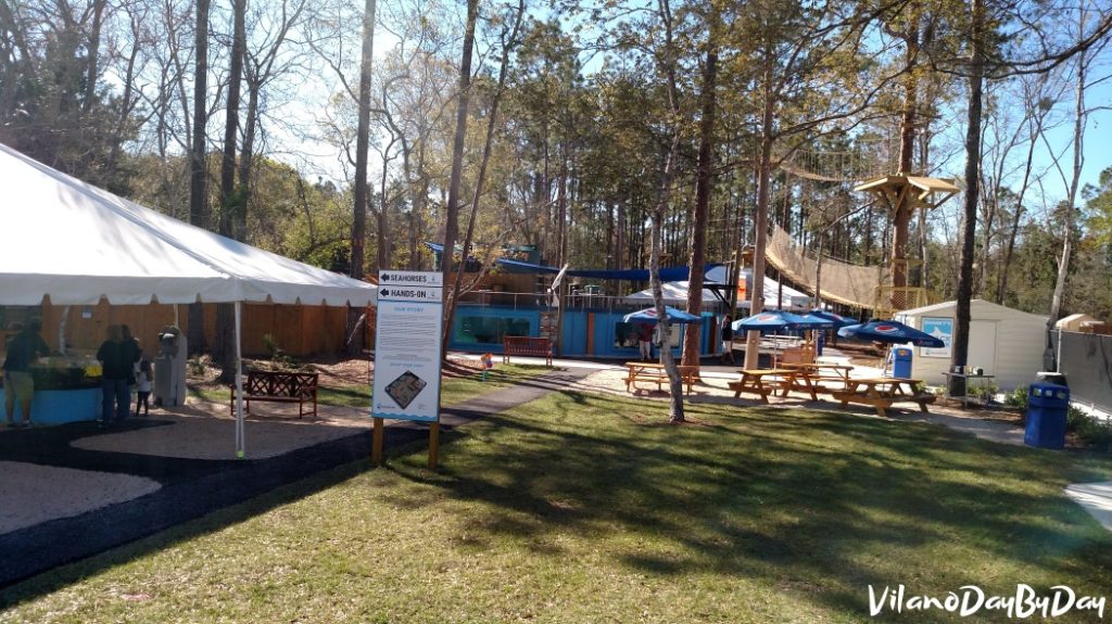 St Augustine Aquarium Vilano DayByDay